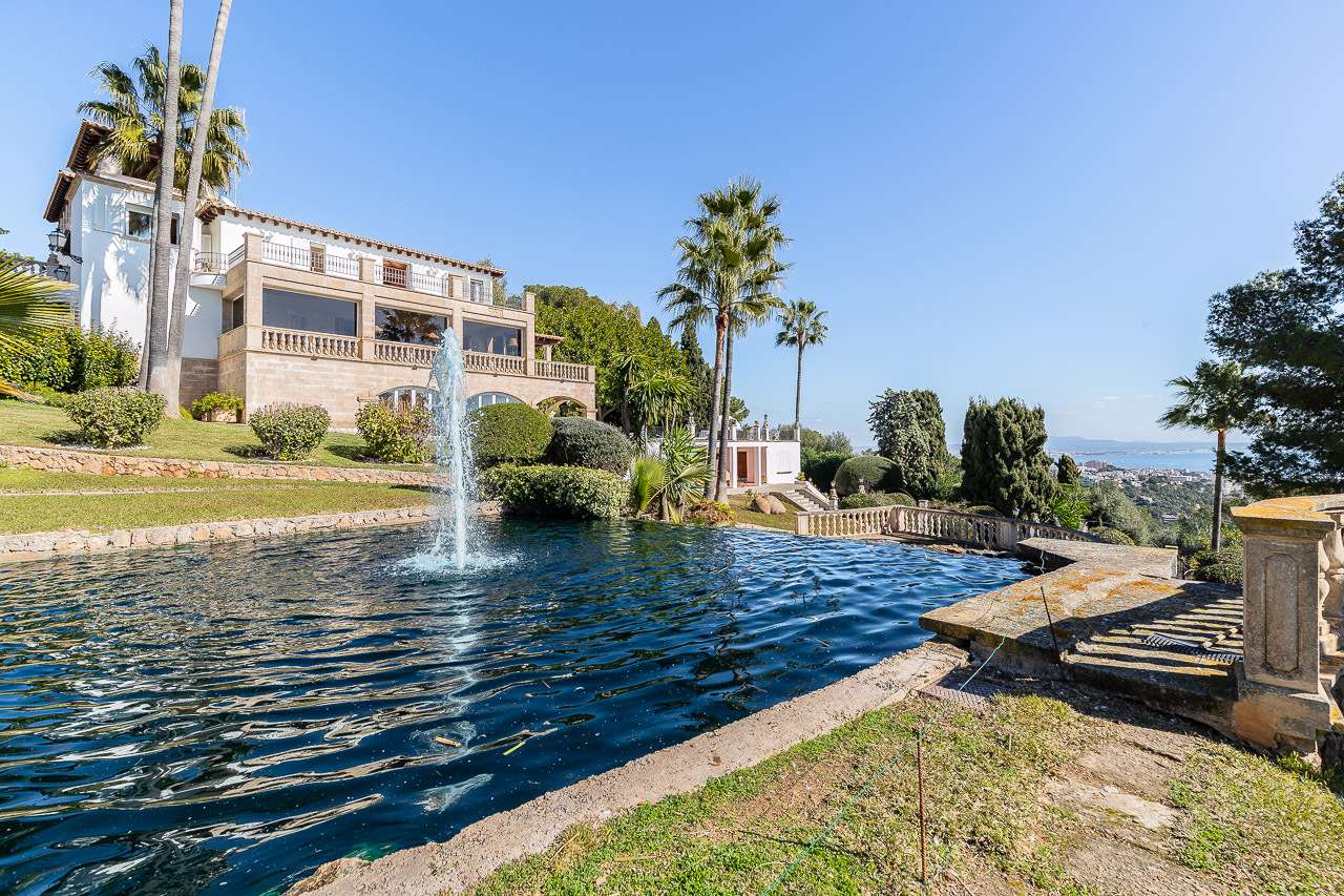 [object Object] - image