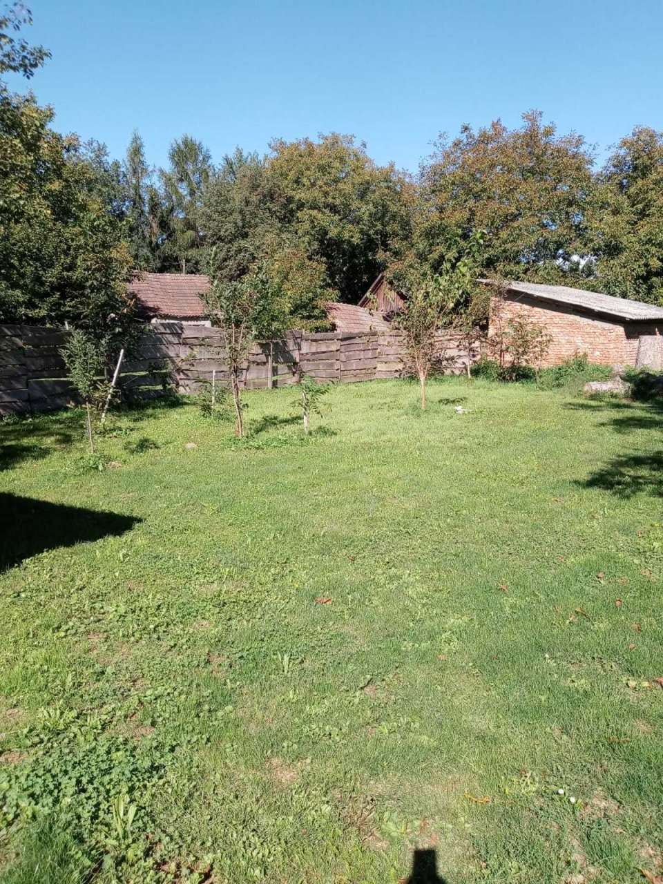 [object Object] - image