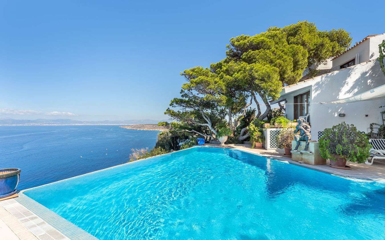 [object Object] - image