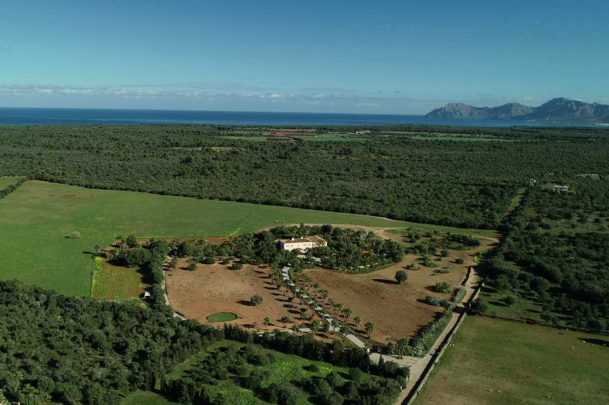 [object Object] - image