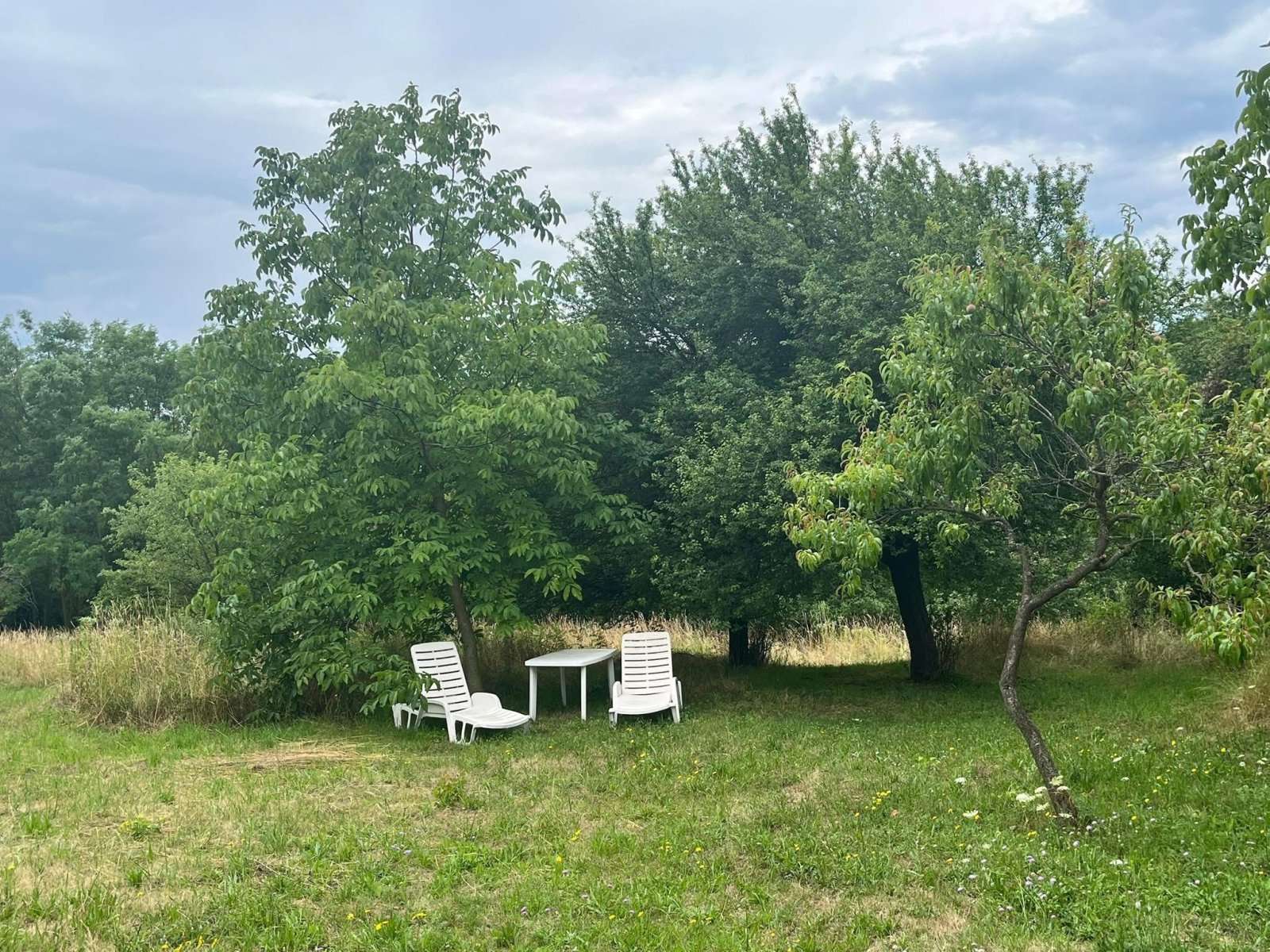 [object Object] - image