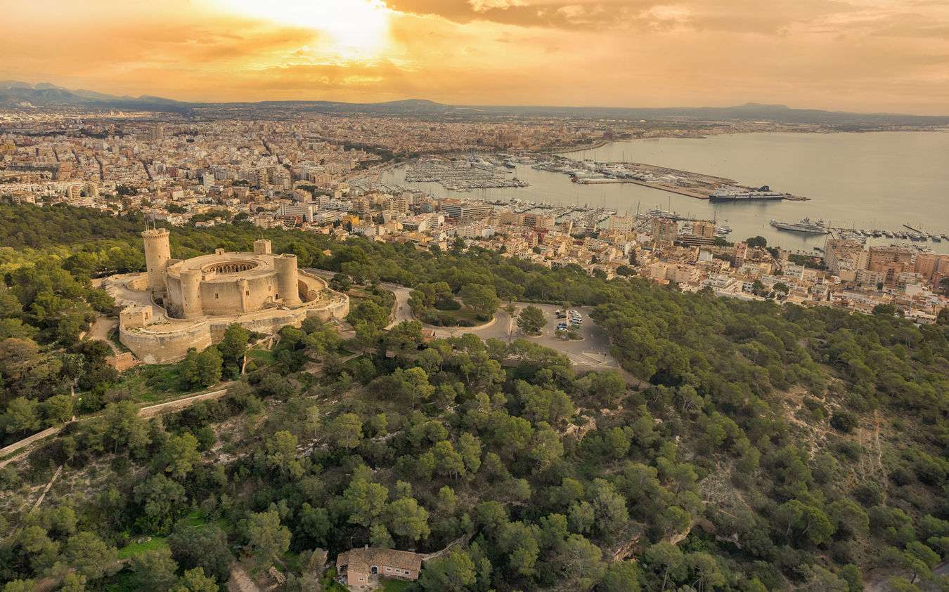 [object Object] - image