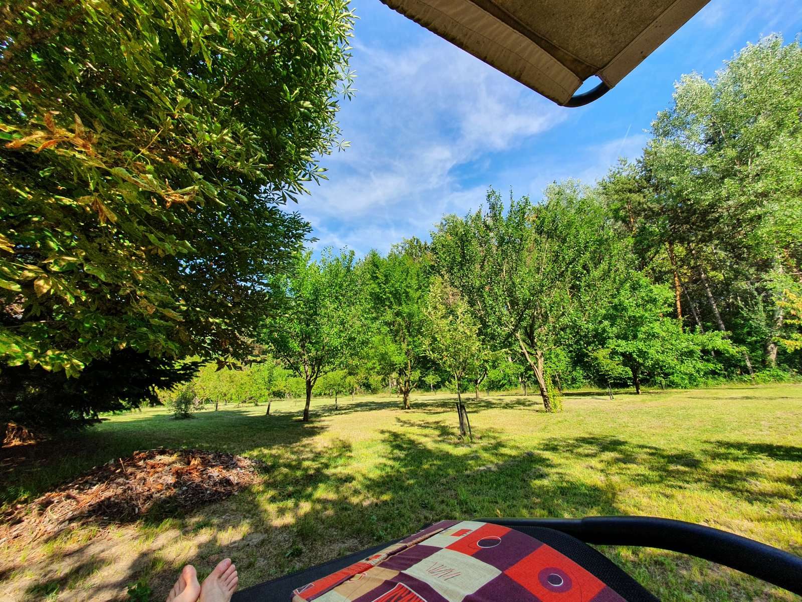 [object Object] - image