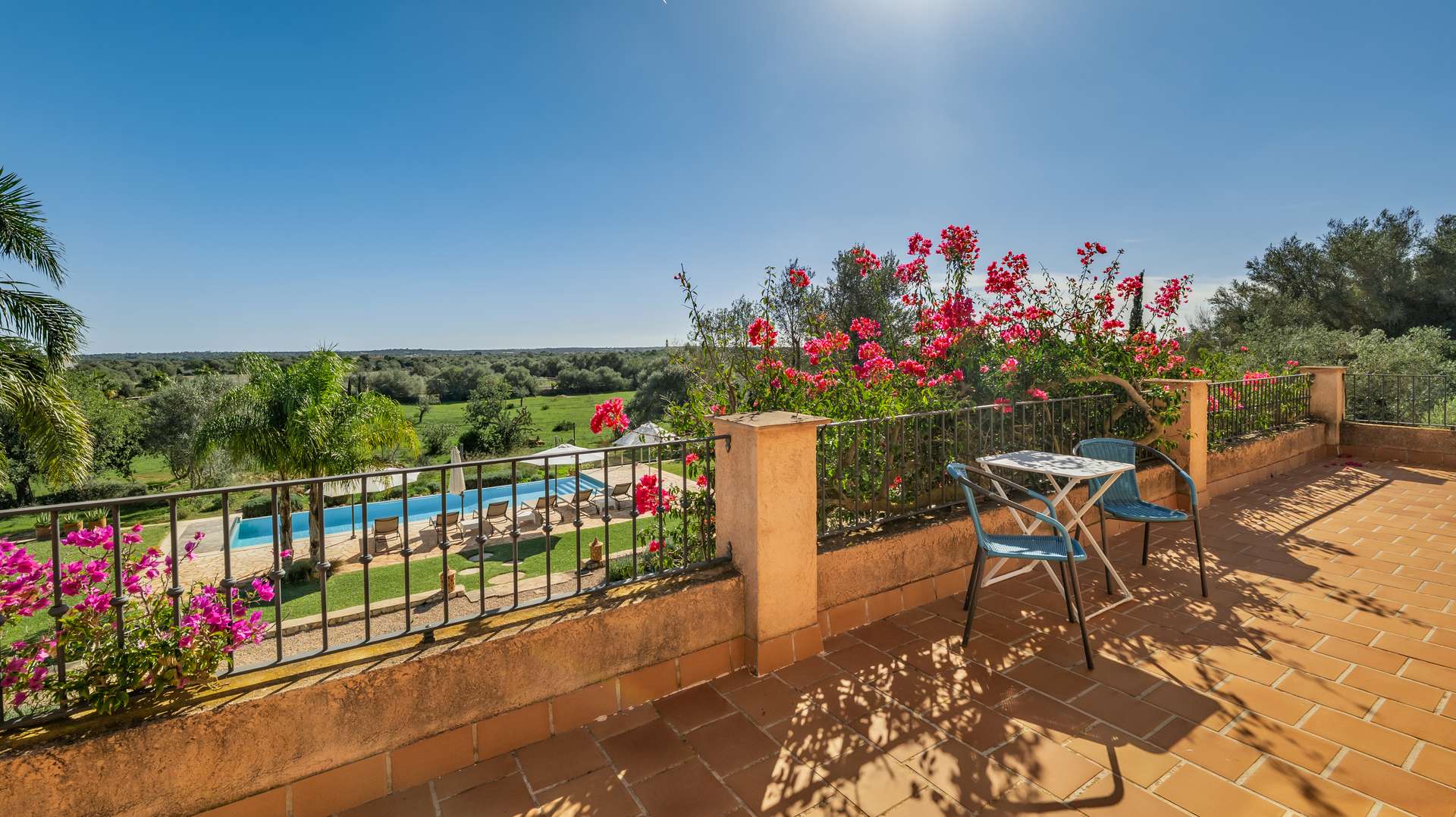 [object Object] - image