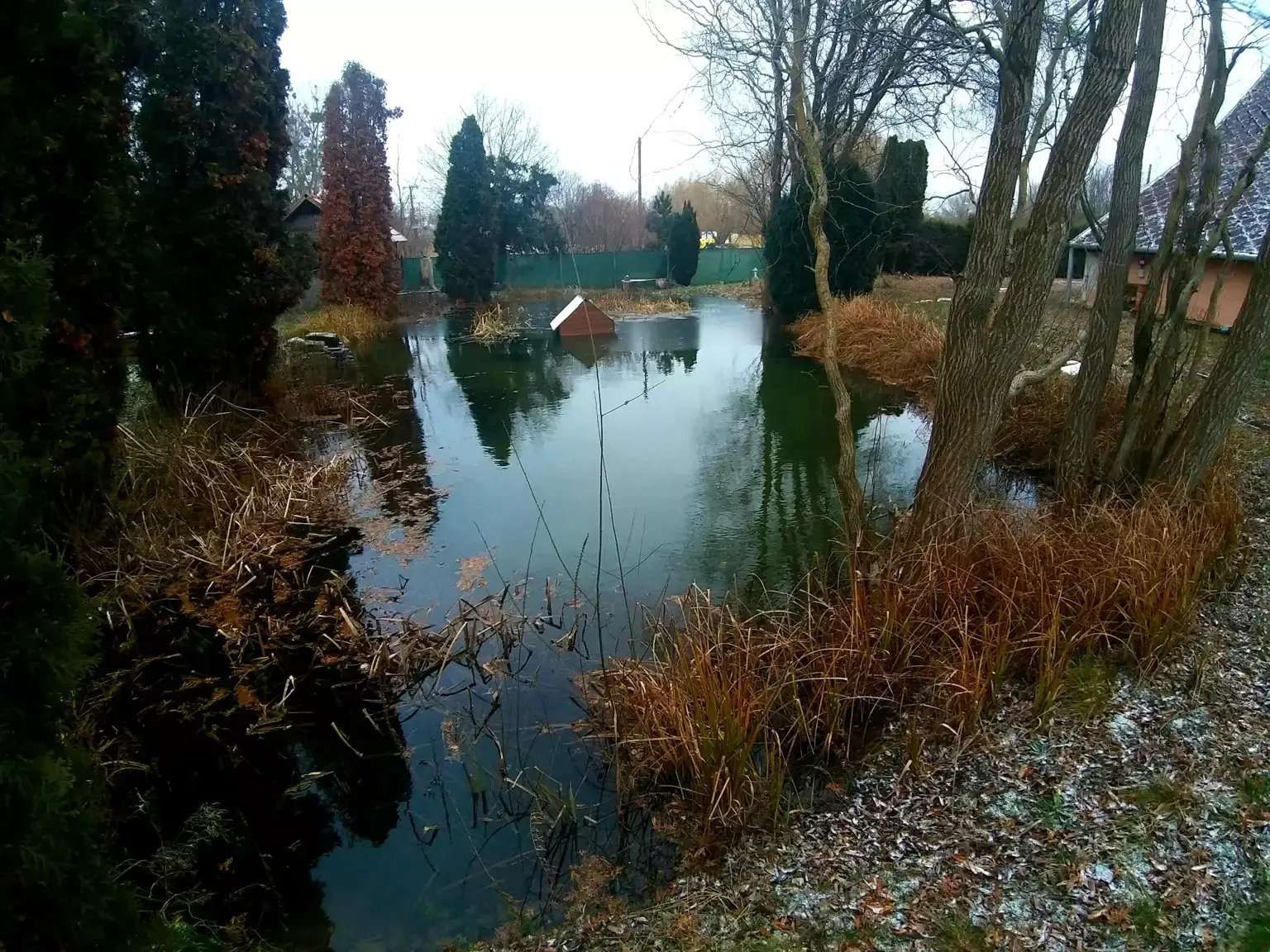 [object Object] - image