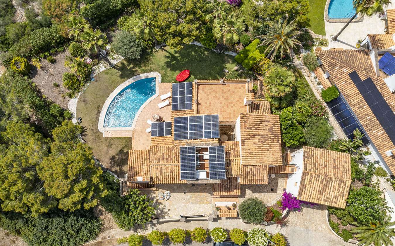 [object Object] - image