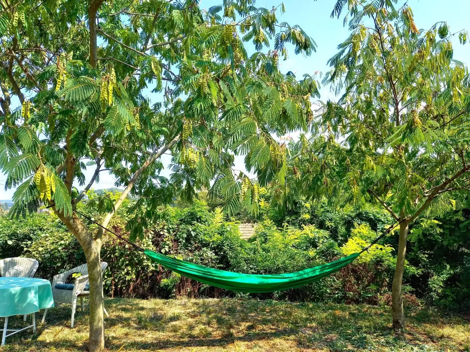 [object Object] - image