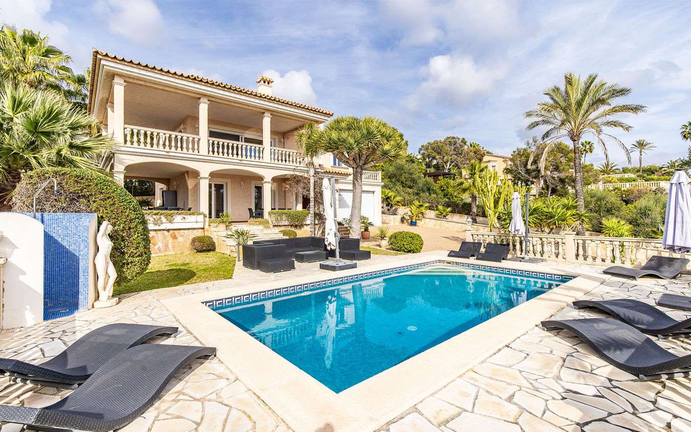 [object Object] - image