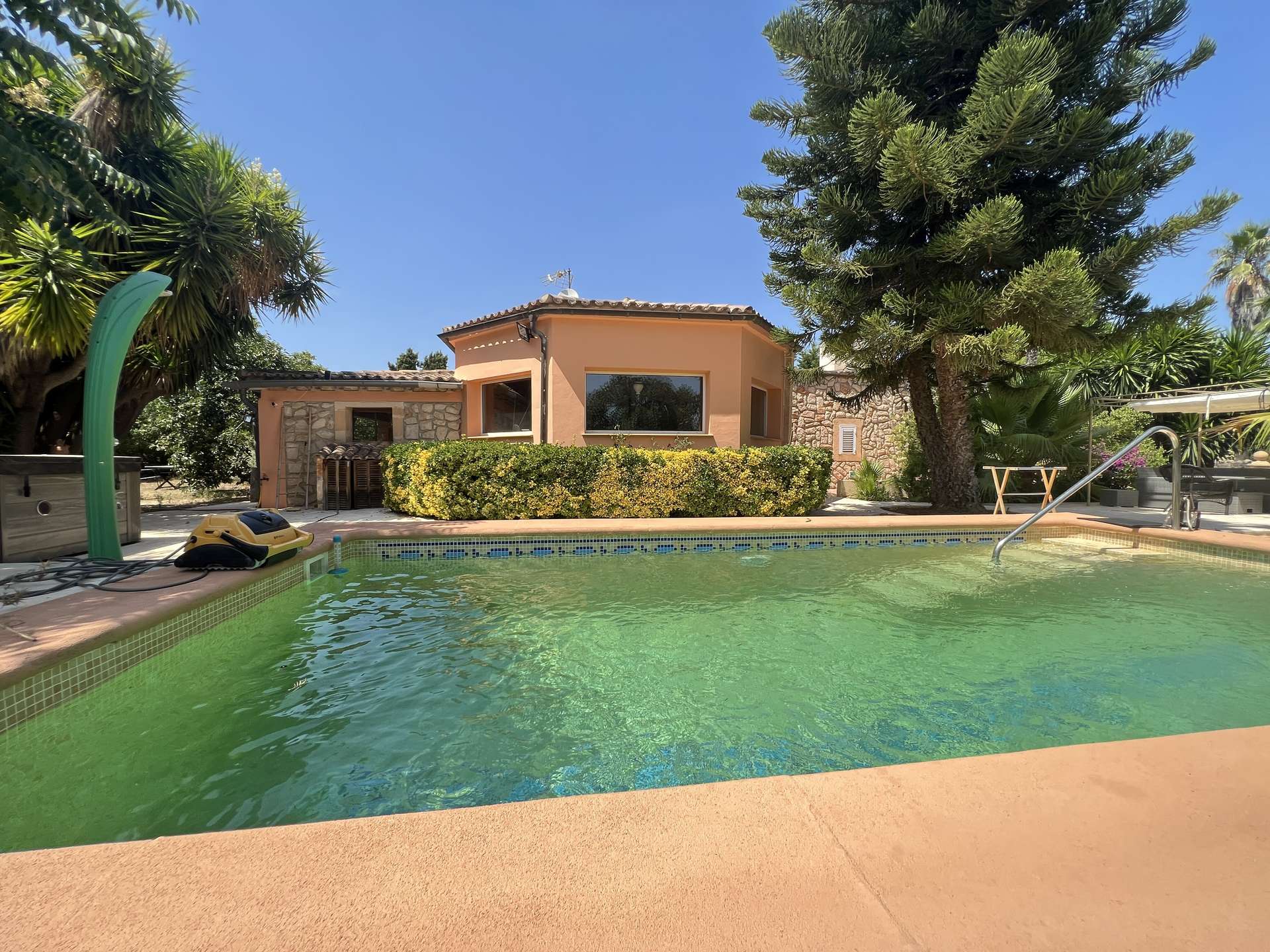 [object Object] - image