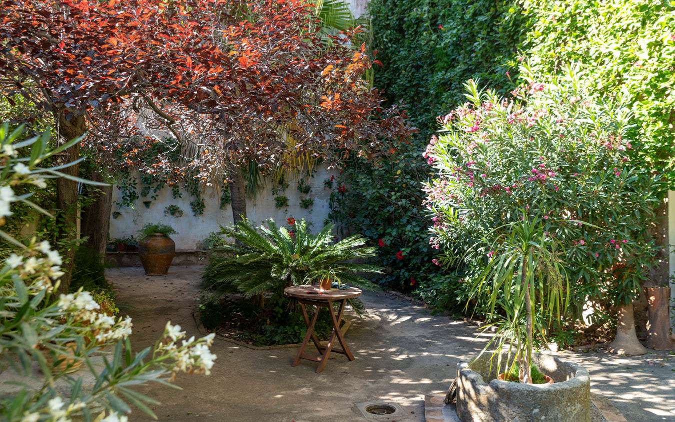 [object Object] - image