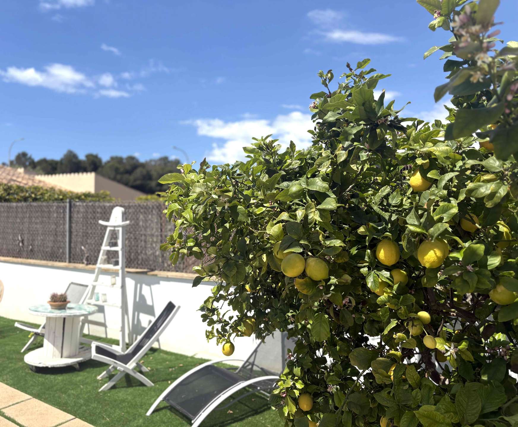 [object Object] - image