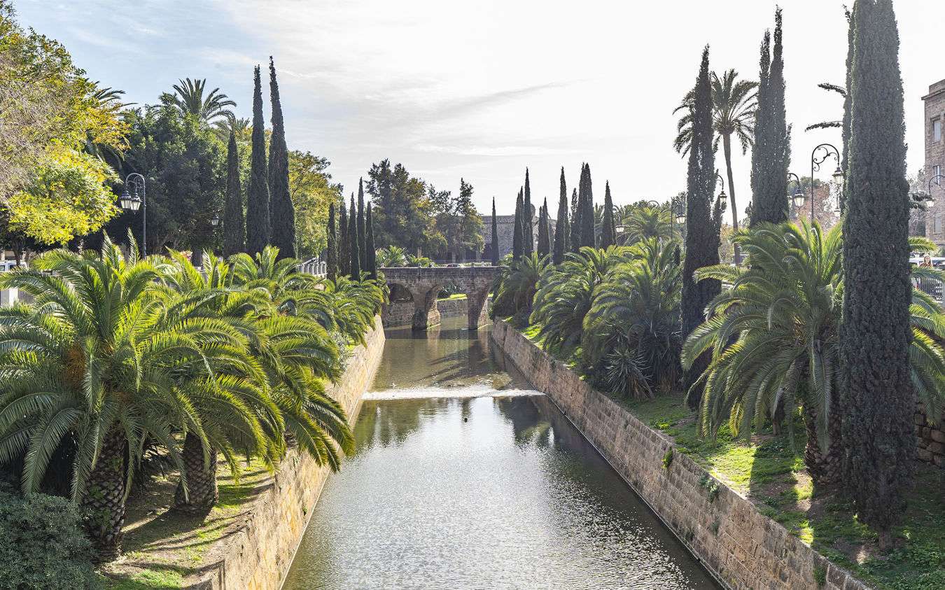 [object Object] - image