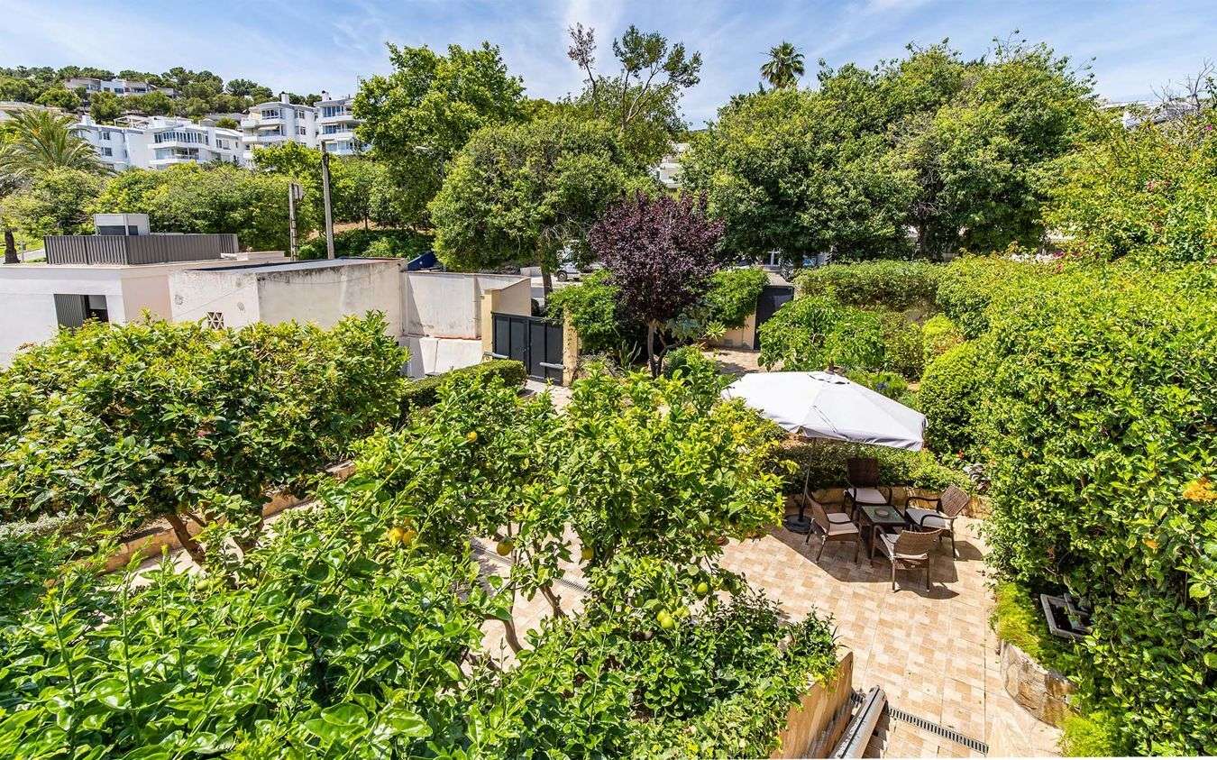 [object Object] - image