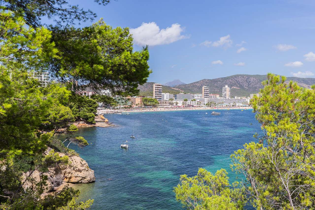 [object Object] - image