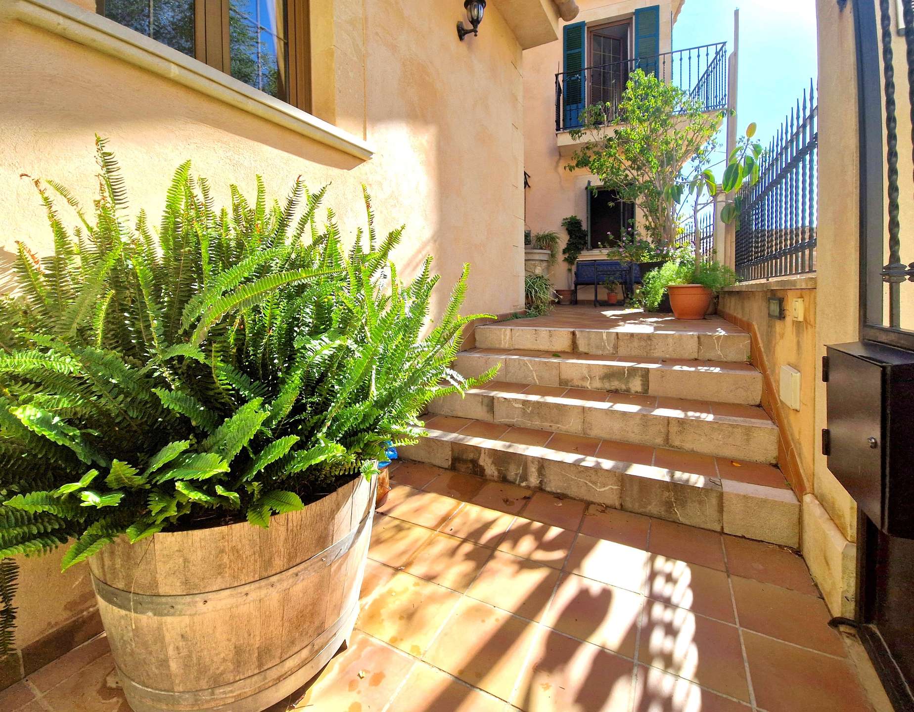 [object Object] - image