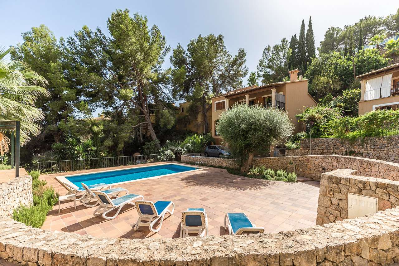 [object Object] - image