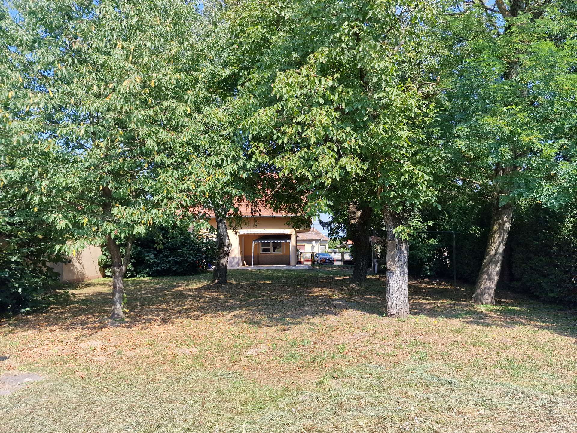 [object Object] - image