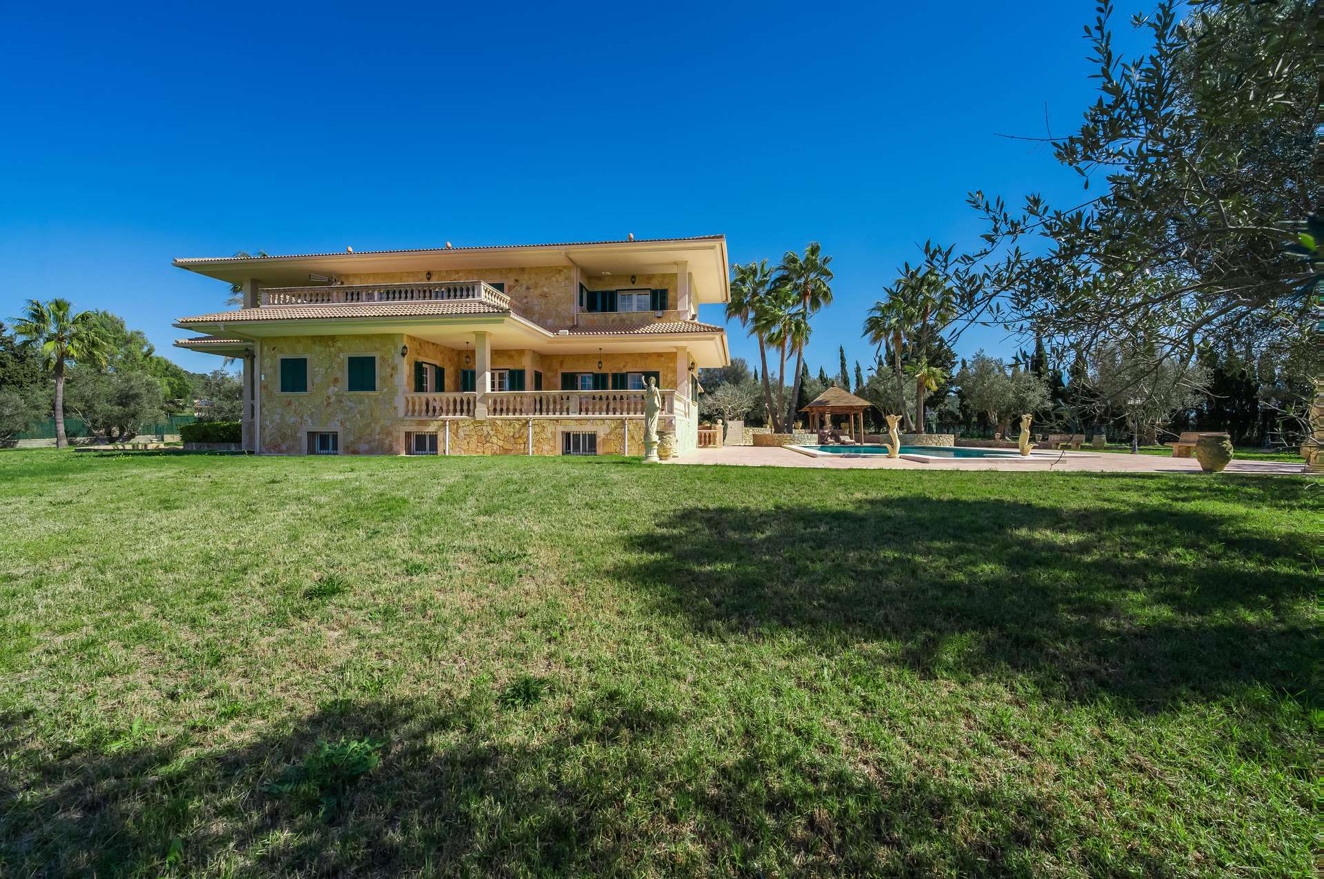 [object Object] - image