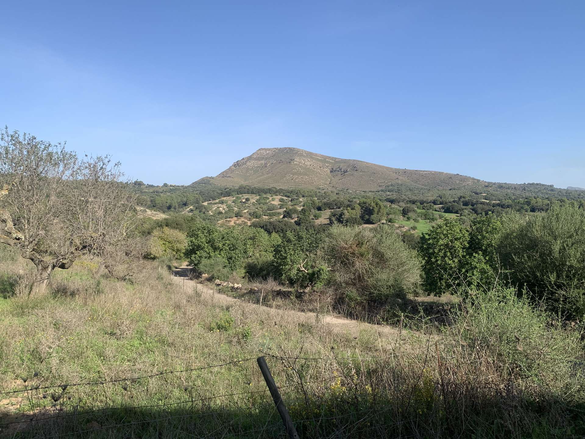 [object Object] - image