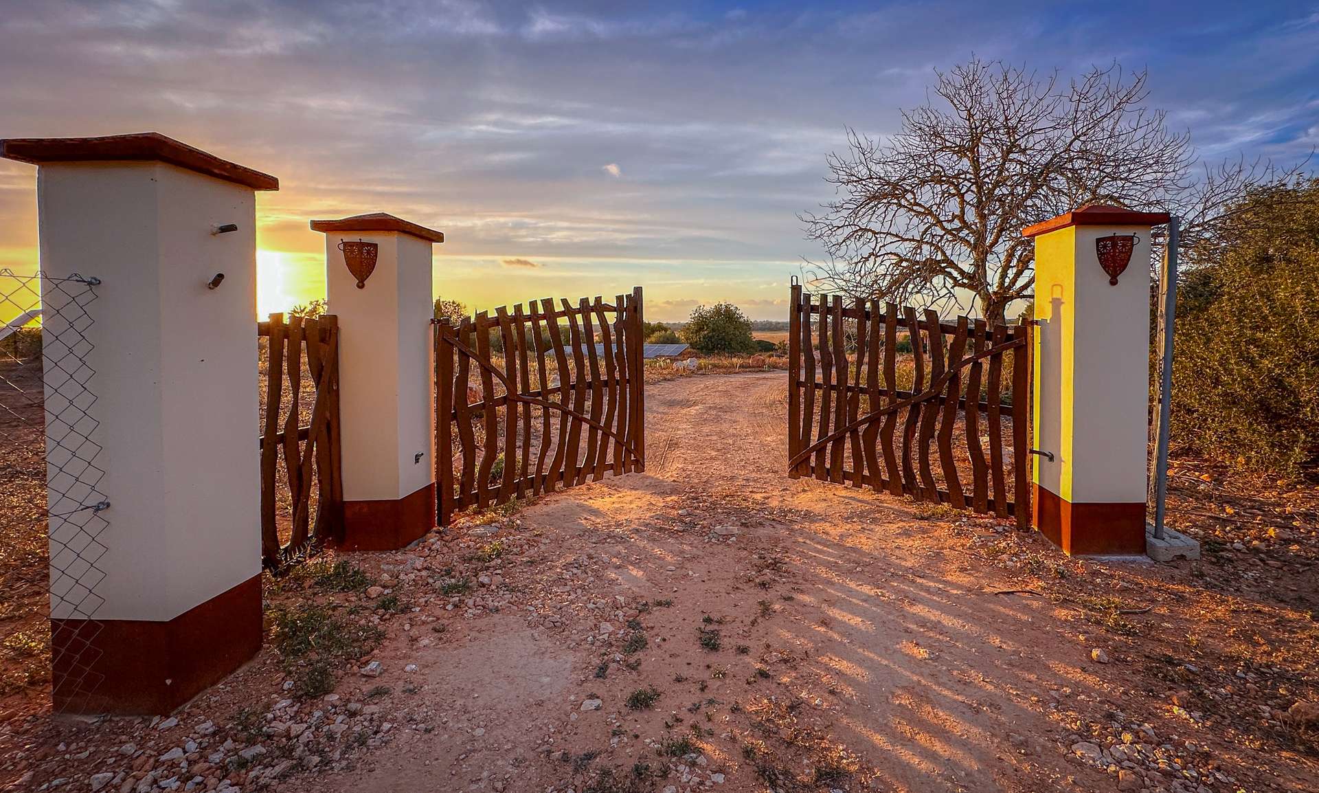 [object Object] - image