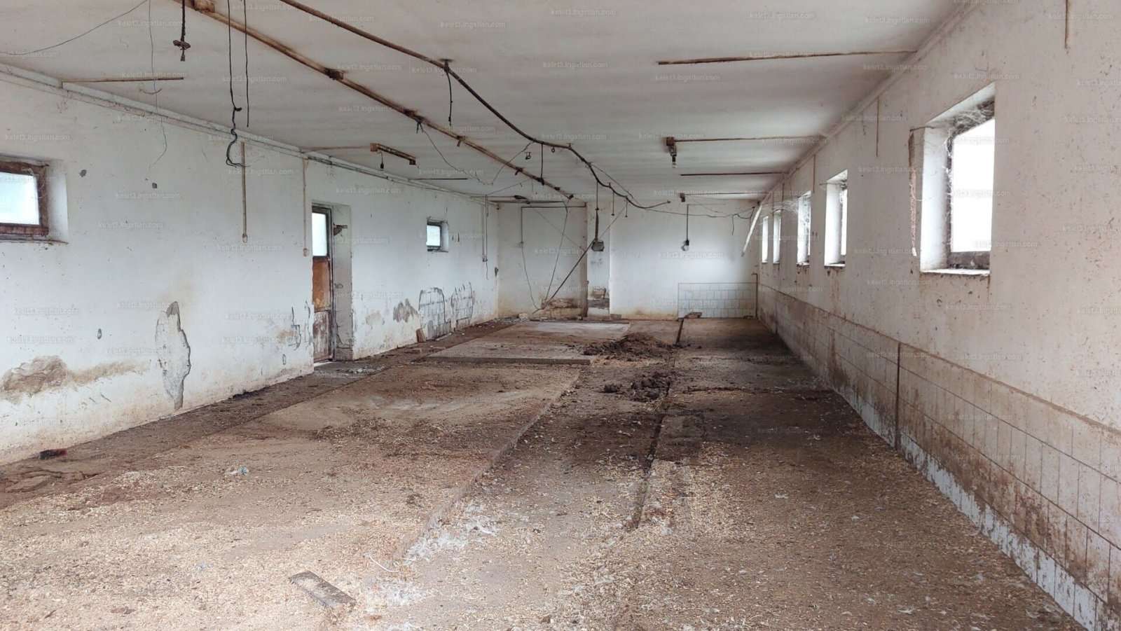 [object Object] - image