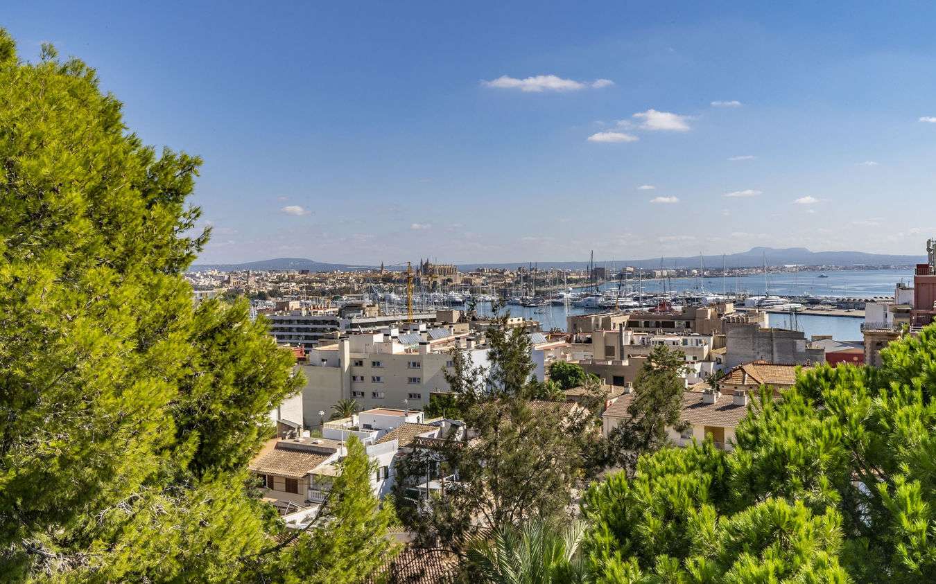 [object Object] - image