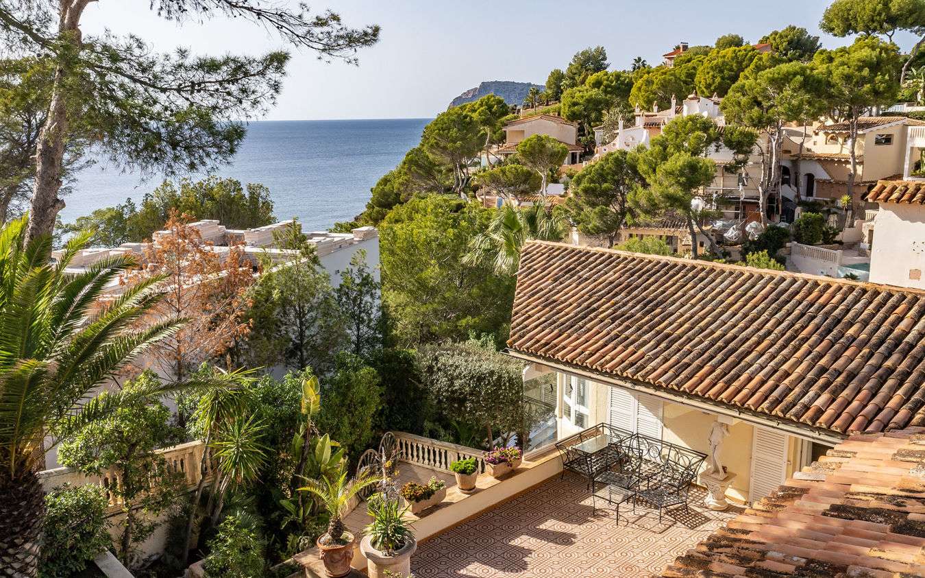 [object Object] - image