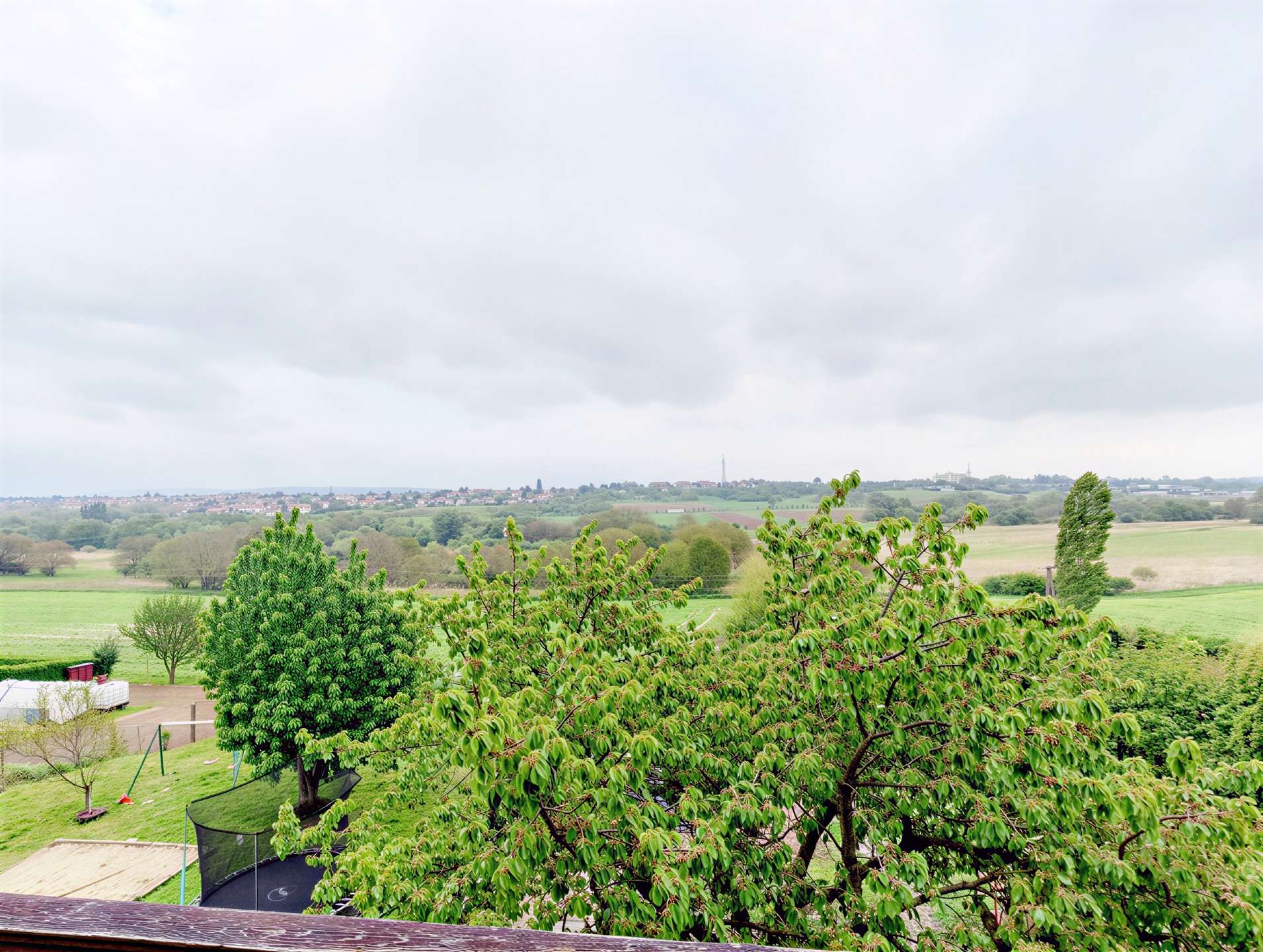 [object Object] - image