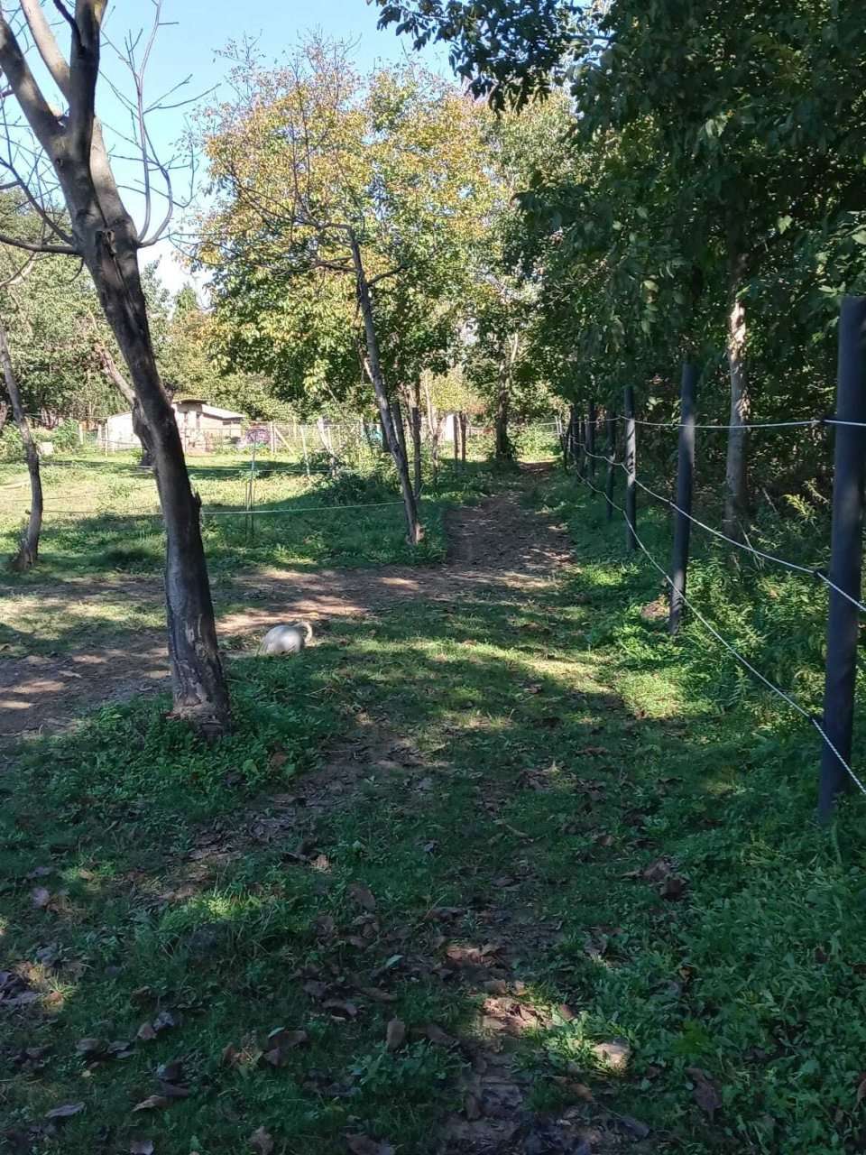 [object Object] - image