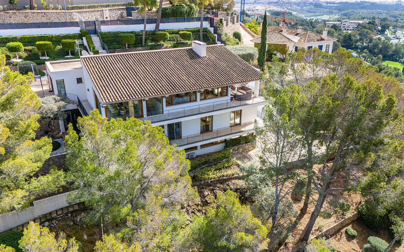 [object Object] - image