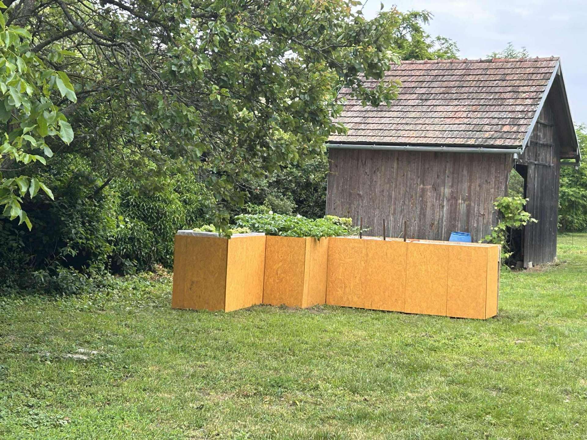 [object Object] - image