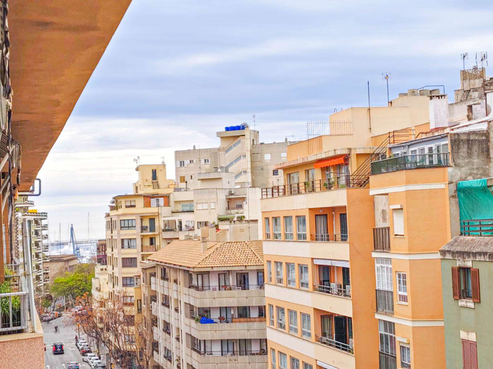 [object Object] - image