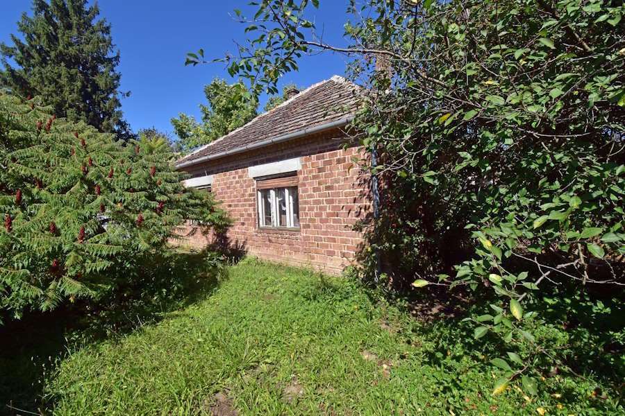 [object Object] - image