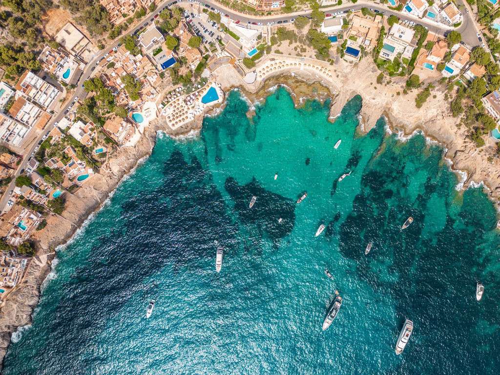 [object Object] - image