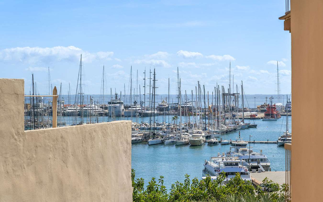 [object Object] - image