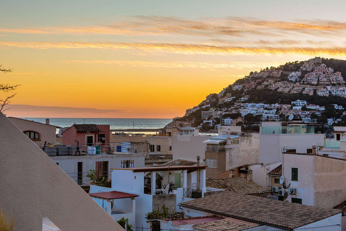 [object Object] - image