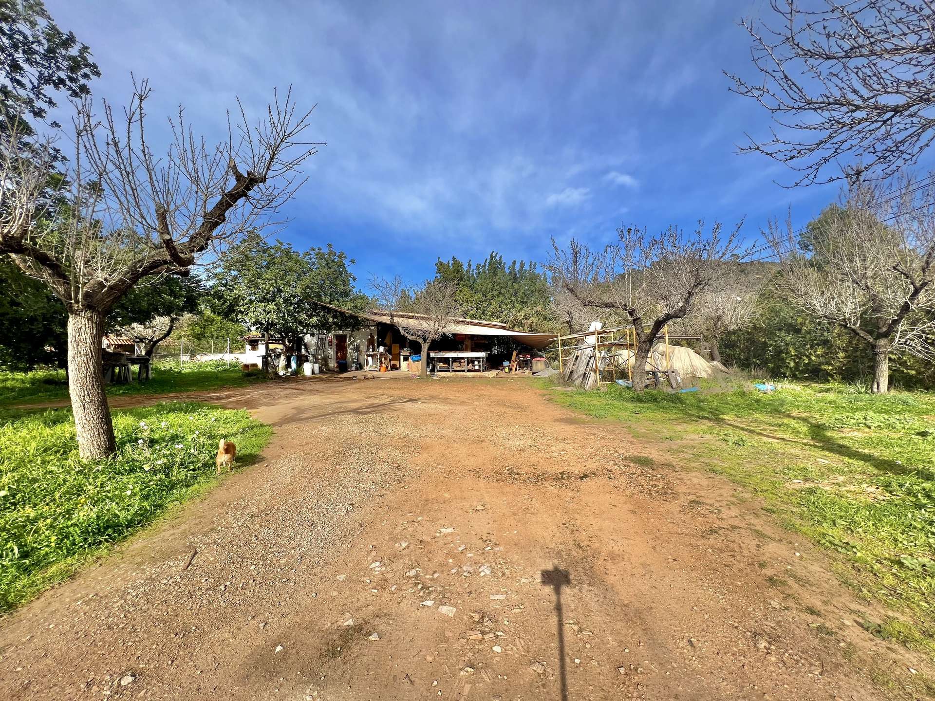 [object Object] - image