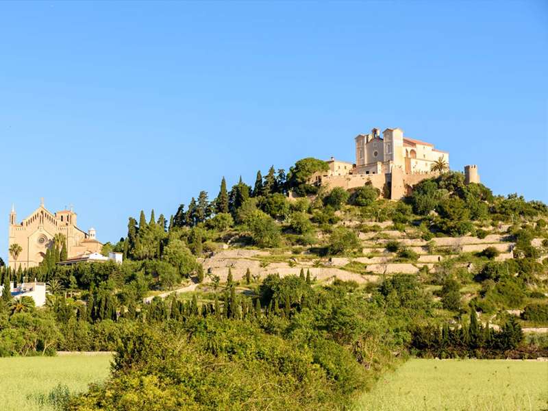 [object Object] - image