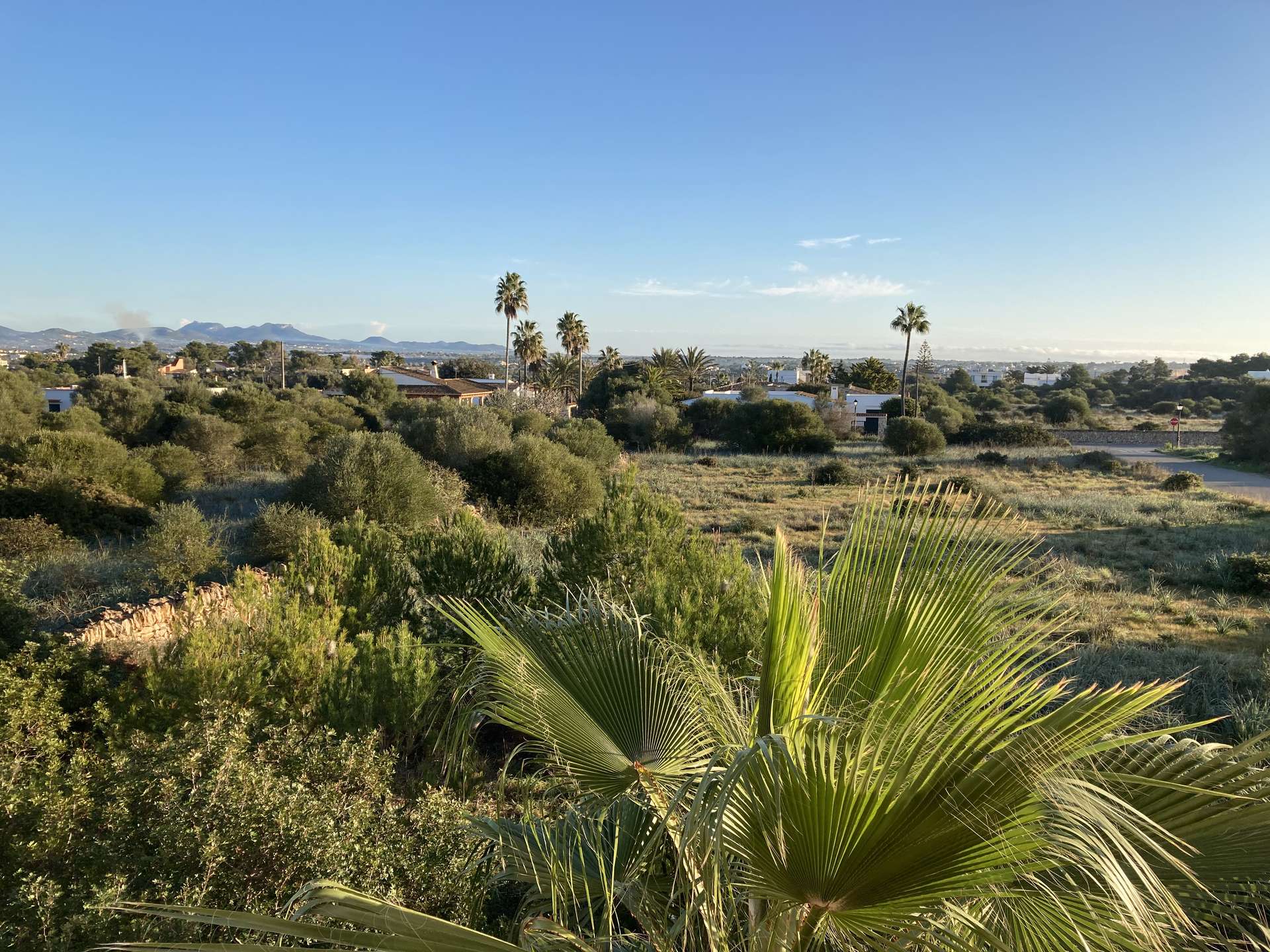 [object Object] - image