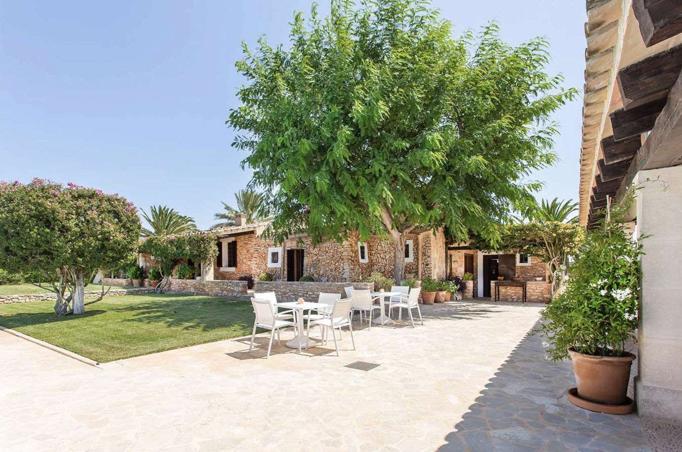 [object Object] - image