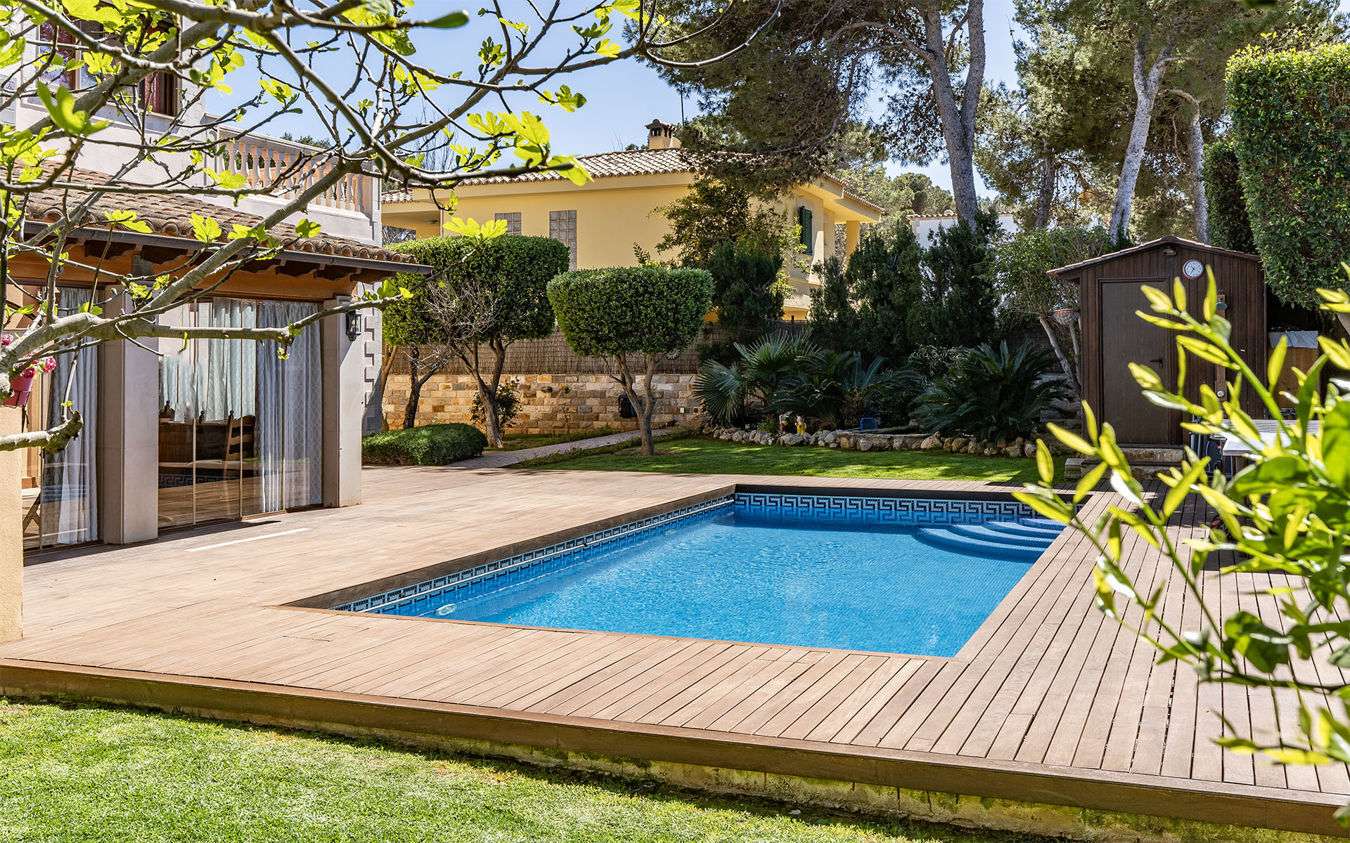 [object Object] - image