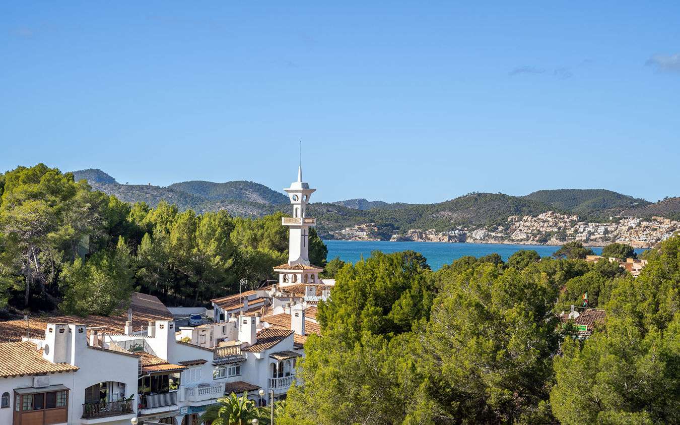 [object Object] - image