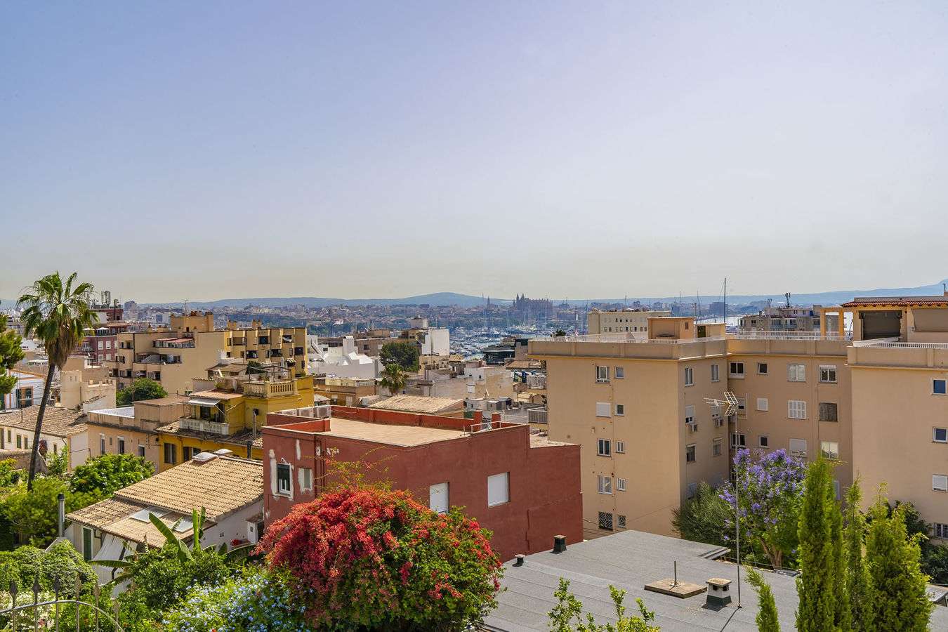 [object Object] - image