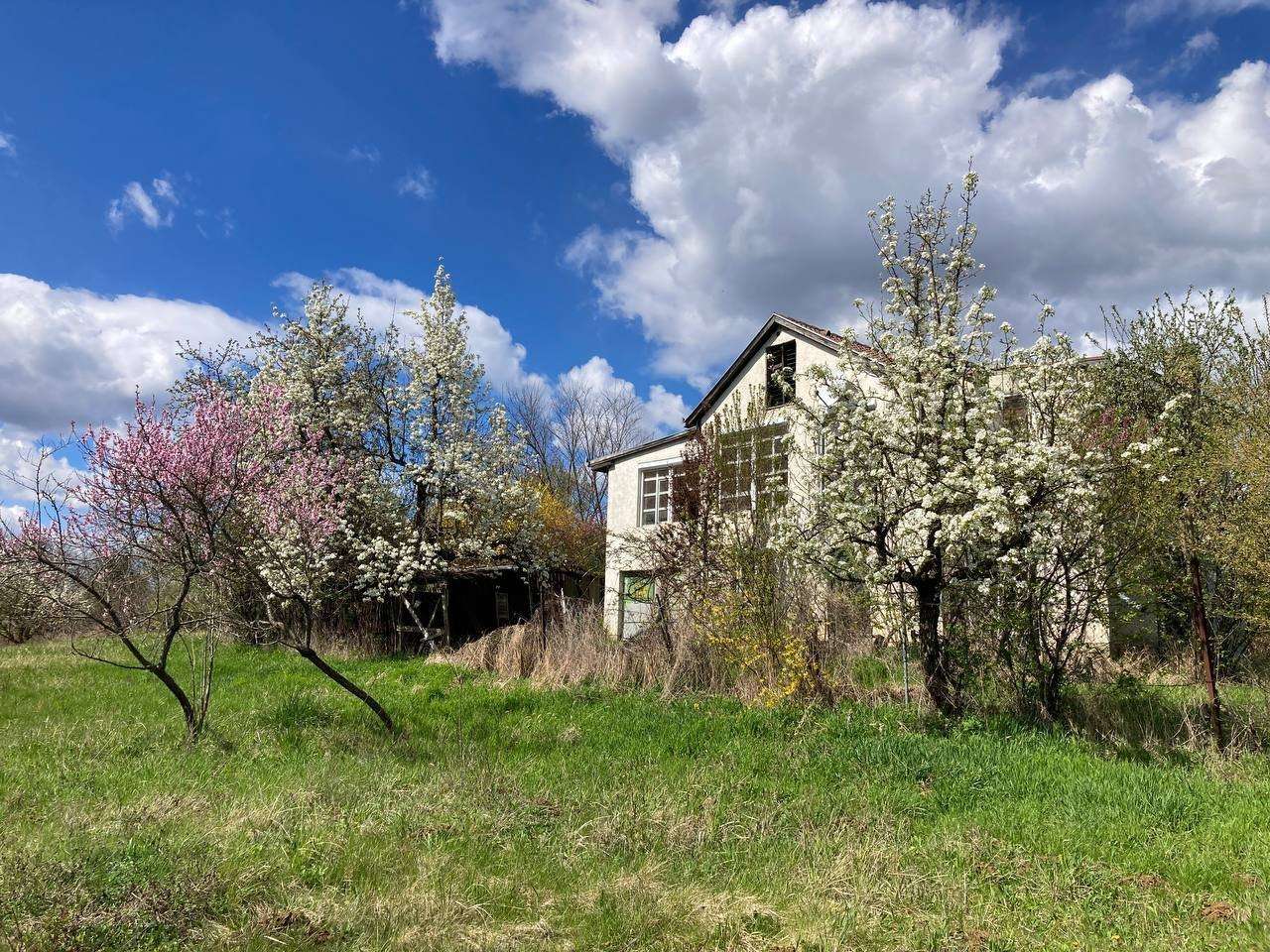 [object Object] - image