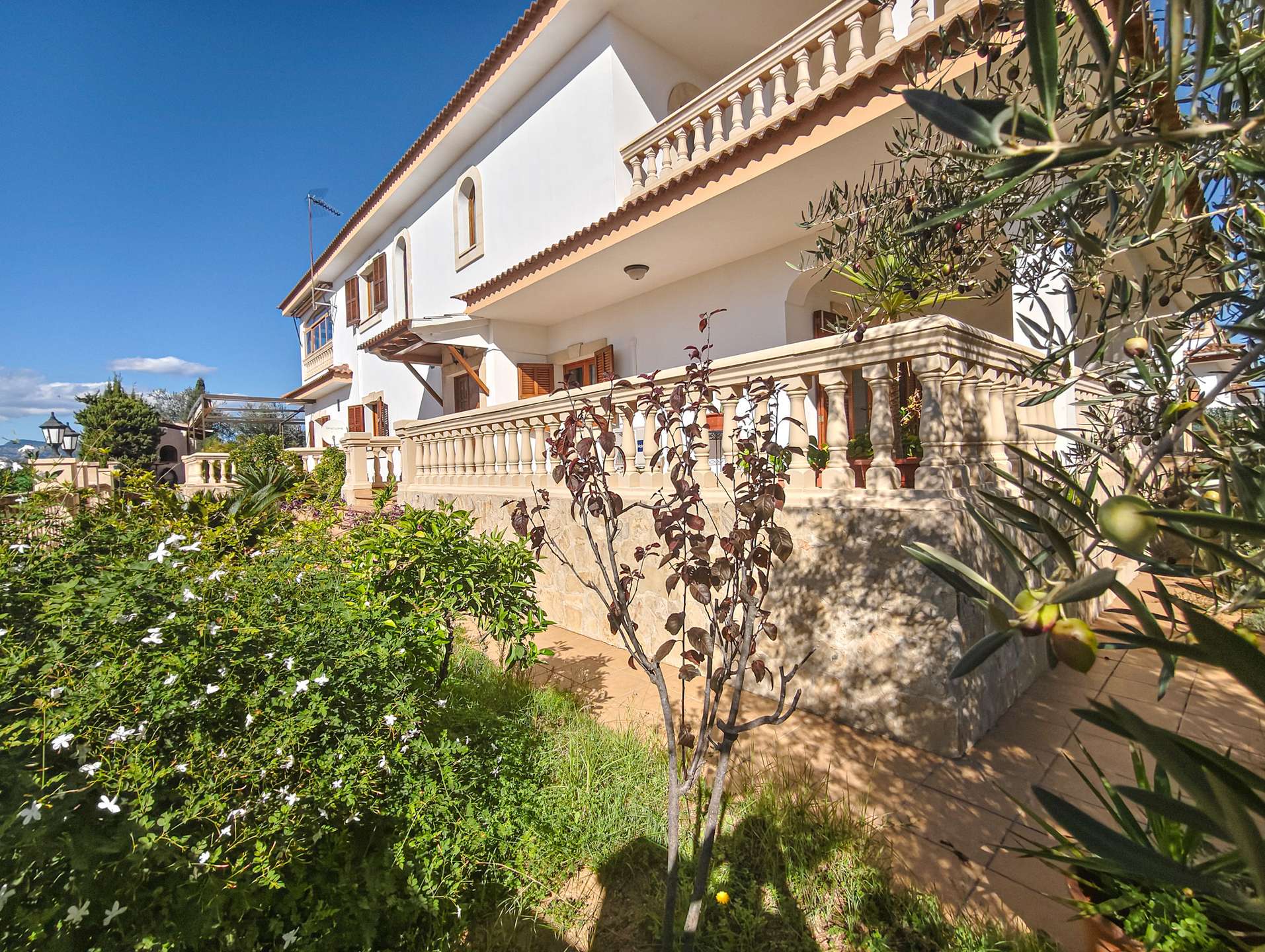 [object Object] - image