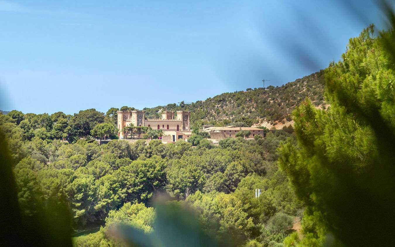 [object Object] - image