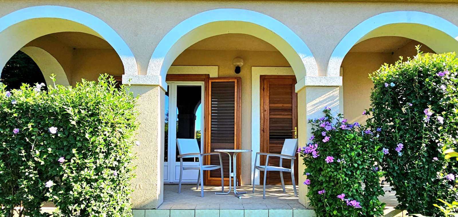 [object Object] - image