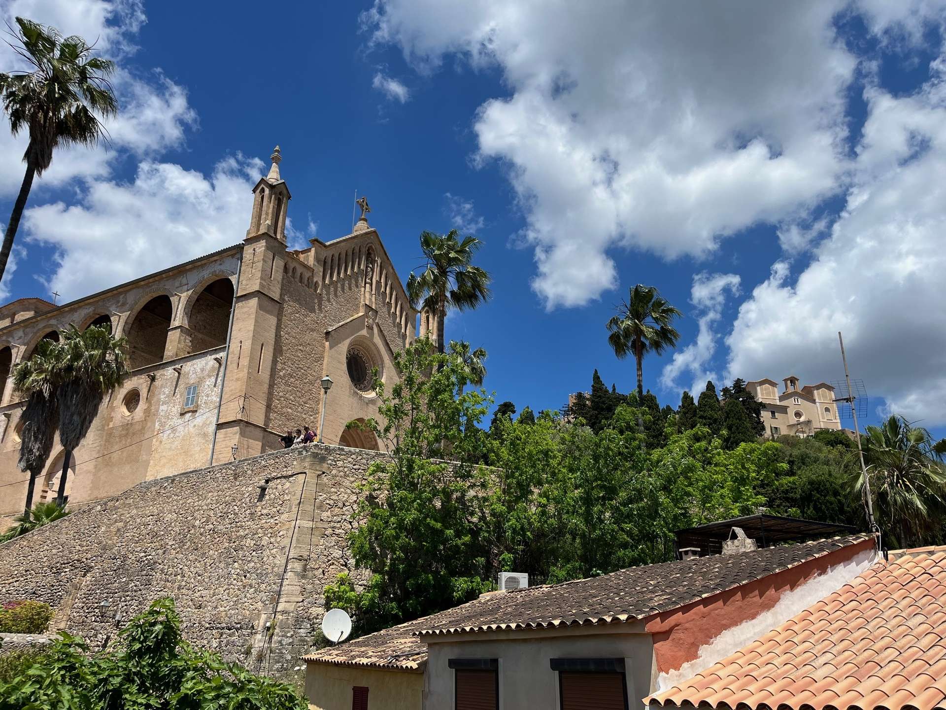 [object Object] - image