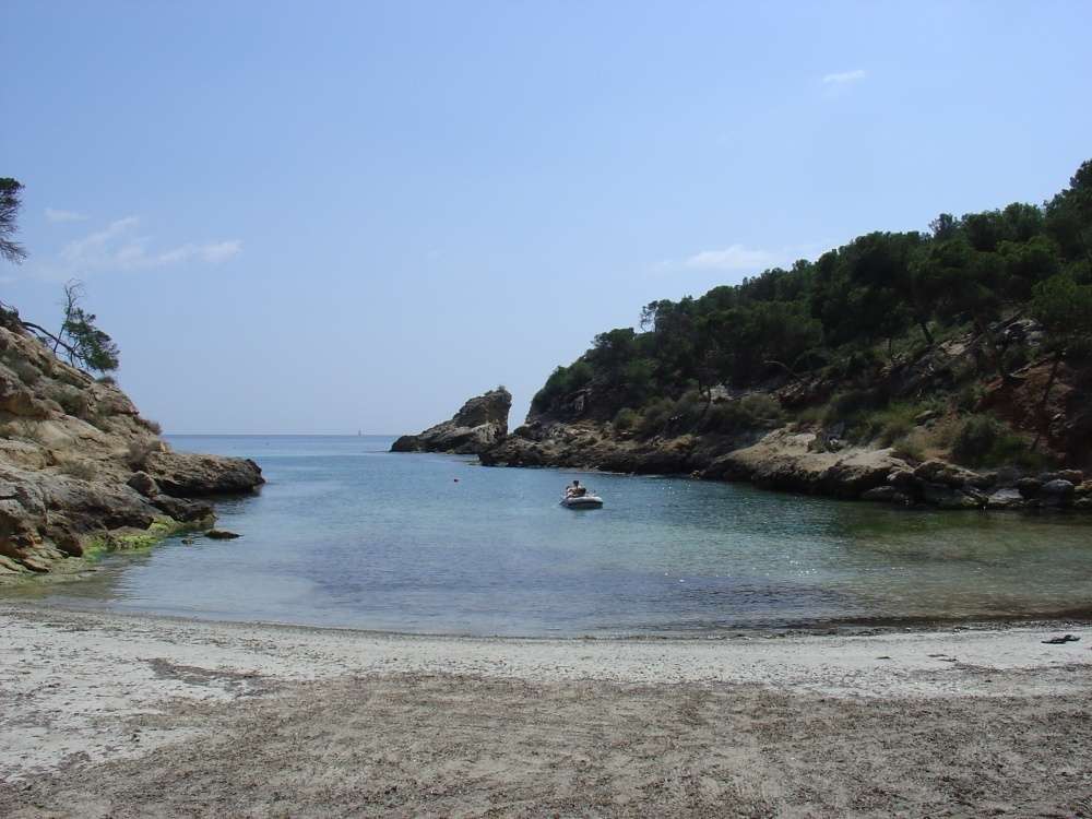 [object Object] - image