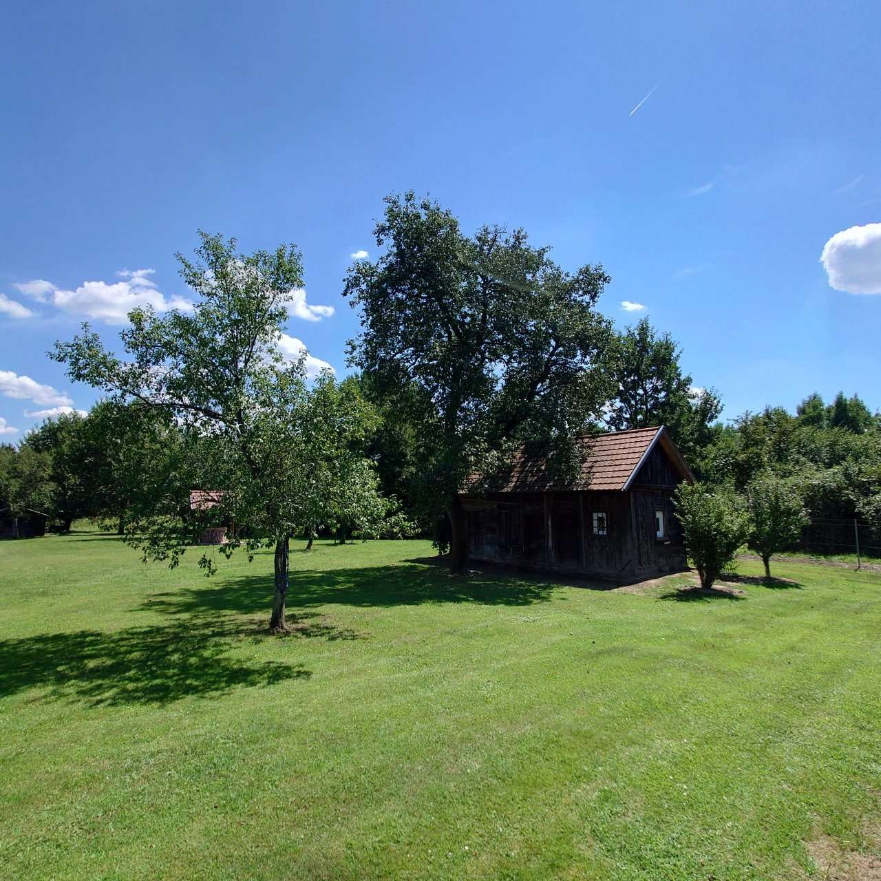 [object Object] - image